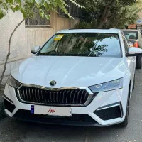 اشکودا اکتاویا لاکچری