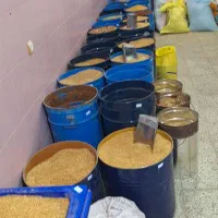 فروش انواع  دانه مرغی  جو گندم دارو  لوازم آبخوری|لوازم جانبی حیوانات|زابل, |دیوار