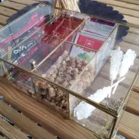 تی بگ