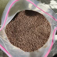 چای کله مورچه ایی درجه یک