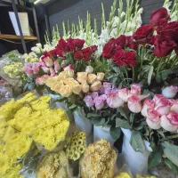 مغازه تک برگ سند کیانشهر اهواز