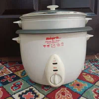 پلوپز و بخار پز