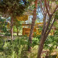 خانه باغ ویلا بازسازی شده پلاک ۱|فروش خانه و ویلا|تربت‌حیدریه, پائین ولایت|دیوار