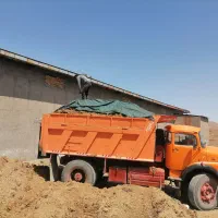 کود مرغ