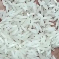 برنج فجر سوزنی ۹۰ روزه