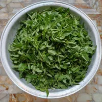 عرضه سبزی خوردن  از مزرعه (فله و بسته بندی)