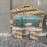 اکواریوم