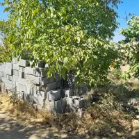 ۶۴۰ متر زمینن باغ شهری