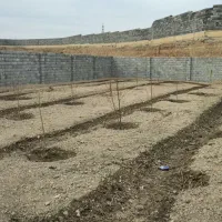 باغ درب و چهاردیواری ۵۳۰متر چمگردان