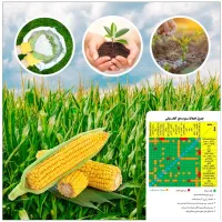 همکار خانم یا آقا با روابط عمومی بالا جهت همکاری