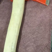 تبر و بدمینتون