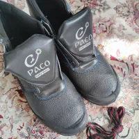 کفش کار|کیف، کفش، کمربند|قم, نوقطار|دیوار