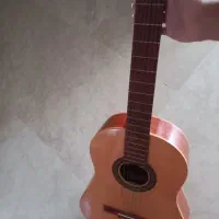 گیتار کلاسیک رنگ خاص مخصوص مبتدی و پیشرفته|گیتار، بیس، امپلیفایر|اصفهان, چرخاب|دیوار