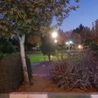 اجاره واحد شخصی ساز یک واحد از ۳ واحد