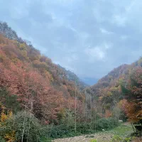 فروش زمین براصلی صیاد شیرازی