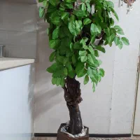 درختچه مصنوعی