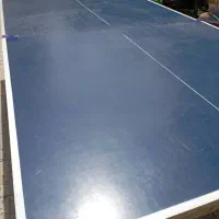 تنیس روی میز در حد نو|ورزشهای توپی|اردبیل, |دیوار