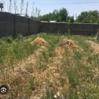 یک قطعه زمین ۵۷۷ متر