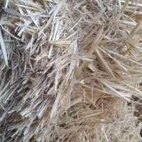 ۱۷۰عددپرس گندم.۱۲۰ تومن.خودم خریده بودم.تغییر شغل|لوازم جانبی حیوانات|مهربان, |دیوار