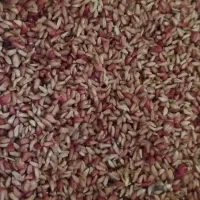 ناردونه تمیز