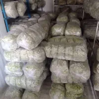 باقالی ونخود|خوردنی و آشامیدنی|شهریار, شهرک بهاران (ویره)|دیوار