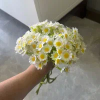 ظروف|ظروف سرو و پذیرایی|ارومیه, |دیوار