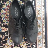 کفش مجلسی|کیف، کفش، کمربند|تهران, استخر|دیوار