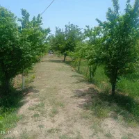 فروش زمین شهرک غارفوری فوری برای قیمت تماس بگیرید