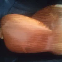 تار خجسته