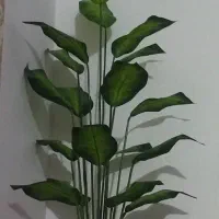 وسایل منزل نو|حراج|تهران, کیانشهر|دیوار