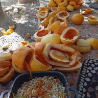 خوراک دام|لوازم جانبی حیوانات|طرقبه, |دیوار