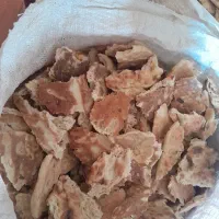 نان خشک بربری
