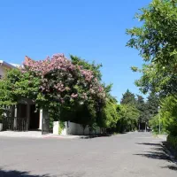 فروش-ویلا-باغ-بابلسر