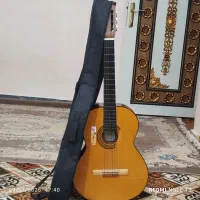 گیتار سالم