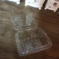 ظرف یکبار مصرف