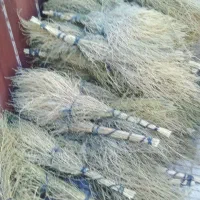 جارو محلی امسال