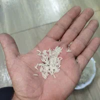 برنج فجر سوزنی ۹۰ روزه|عمده‌فروشی|سرخنکلاته, |دیوار