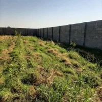 قطعه باغ ۱۰۰۰ متر|فروش دفتر صنعتی، کشاورزی، تجاری|دزفول, |دیوار