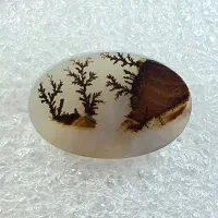 شجر منظره طبیعی قائن