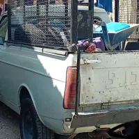 وانت پیکان|خودرو سواری و وانت|بوشهر, |دیوار