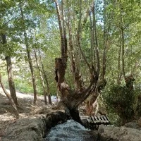 1200متر-باغ-محشر-150-متر-بنا