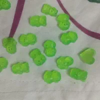 خرس شبتاب ولن تاین