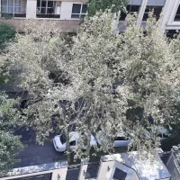 قلهک ۱۵۰ متر کلنگی با ۳ طبقه ۱۰۰ متری بنا
