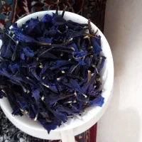 گل گاوزبان|خوردنی و آشامیدنی|کاشان, کارگر|دیوار