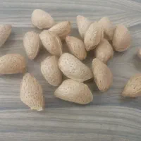 بادام درختی (خوراکی)|خوردنی و آشامیدنی|تهران, آرژانتین|دیوار
