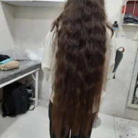 مرکز خرید موهای طبیعی ورنگی شما با بالاترین قیمت