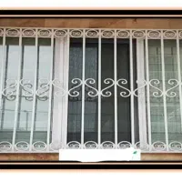حفاظ پنجره/کولر/پمپ/شاخ گوزنی/سایبان