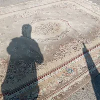 جفت هم|فرش|اراک, |دیوار