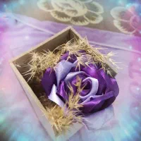 باکس تک شاخه