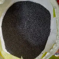 بذر دستگیری مینروا آرژانتین